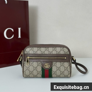 Gucci GG small shoulder bag 816359 brown