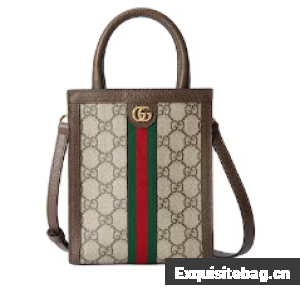 Gucci OPHIDIA GG SUPER MINI BAG 772317 Brown