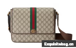 Gucci OPHIDIA MEDIUM MESSENGER BAG 761741 BROWN