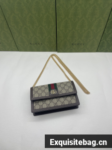 Gucci Ophidia GG Supreme Original Leather Bag 476079 Brown