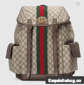 Gucci Ophidia GG medium backpack 598140