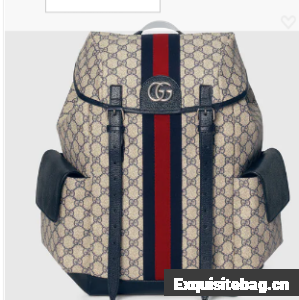 Gucci Ophidia GG medium backpack 598140 Blue