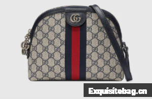 Gucci Ophidia Small Shoulder Bag 499621 blue