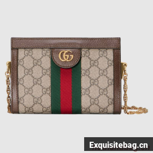 Gucci Ophidia mini shoulder bag 602676 brown