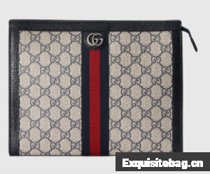 Gucci Ophidia pouch 625549 Blue