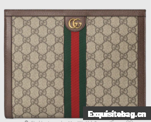 Gucci Ophidia pouch 625549 brown