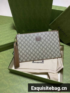 Gucci Ophidia pouch 672953 brown