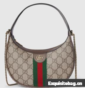 Gucci Ophidia small shoulder bag 838463 brown