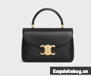 CELINE TEEN NINO BAG IN SUPPLE CALFSKIN 118113 black