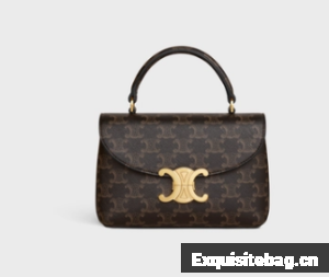 CELINE TEEN NINO BAG IN TRIOMPHE CANVAS 118113 brown