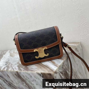 CELINE TEEN NINO BAG IN TRIOMPHE CANVAS 188423 brown