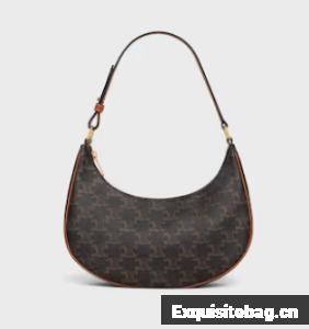 Celine AVA BAG IN TRIOMPHE CANVAS AND CALFSKIN 193952 TAN