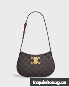 Celine MEDIUM TILLY BAG IN TRIOMPHE CANVAS AND CALFSKIN 115702 TAN