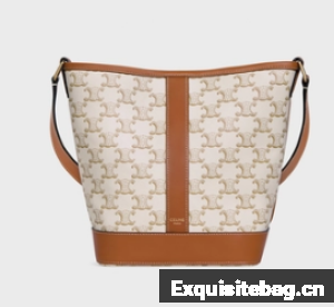 Celine SMALL BUCKET IN TRIOMPHE CANVAS AND CALFSKIN 191442 WHITE