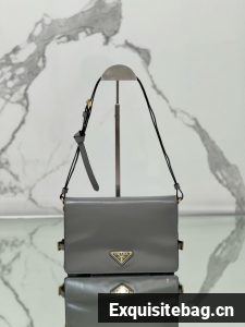 Prada Leather shoulder bag 1BD082 gray