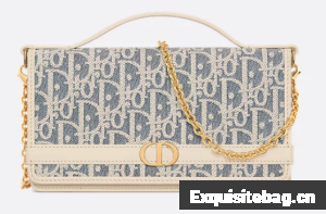 DIOR 30 Montaigne Cigale Pouch with Chain S4302