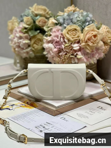 DIOR CD SIGNATURE BAG WITH STRAP white CD-Embossed Box Calfskin M9280UZ 