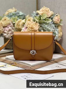 DIOR Calfskin Shoulder Bag C0561 Apricot