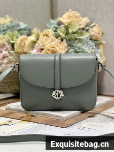 DIOR Calfskin Shoulder Bag C0561 gray