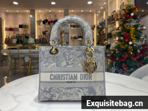 DIOR Medium Lady D-Lite Bag Toile de Jouy Embroidery M0565OTD light gray