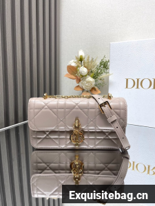 DIOR Miss Daisy Mini Bag Macrocannage Lambskin S3300U light gray