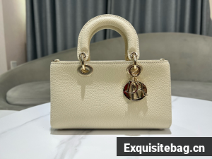 DIOR small Lady D-Sire My ABCDior Bag Bull Leather M11509T Naked