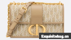 Dior 30 Montaigne Chain Bag Natural Dior Oblique Jacquard M9208UTZQ