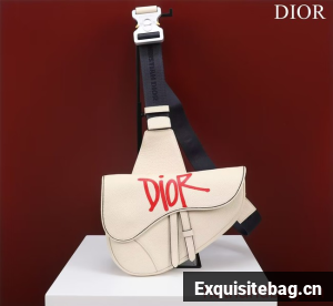 Dior Essentials SADDLE BAG Grained Calfskin 1ADPO093G WHITE