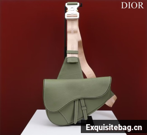 Dior Essentials SADDLE BAG Grained Calfskin 1ADPO093f-1 green