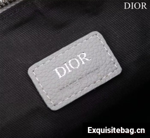 Dior Essentials SADDLE BAG Grained Calfskin 1ADPO093f WHITE