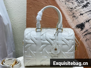 Dior Groove 25 Bag Graphic Cannage Calfskin M1365UBNT white