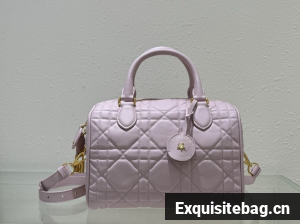 Dior Groove 25 Bag pink Macrocannage Calfskin M1365UB