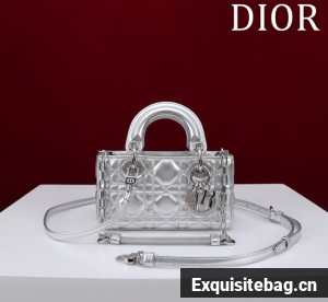 Dior Lady D-Joy Micro Bag Cannage Lambskin S0910O Silver