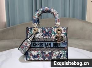 Dior Medium Lady D-Lite Bag Embroidery M0565OECZ