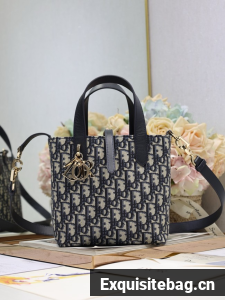 Small Dior Toujours Vertical Tote Bag Macrocannage Oblique Jacquard M2835P blue