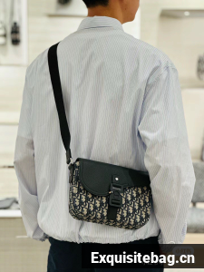 Dior Oblique Saddle Messenger Bag With Shoulder Strap D3090