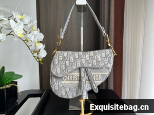Dior SADDLE BAG Embroidery M0446C-2