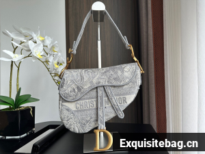 Dior SADDLE BAG Embroidery M0446C-4