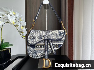 Dior SADDLE BAG Embroidery M0446C-5