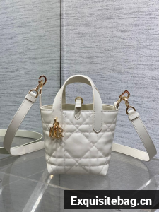 Dior Toujours Vertical Nano Tote Bag Macrocannage Calfskin S6100 Latte