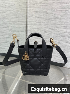 Dior Toujours Vertical Nano Tote Bag Macrocannage Calfskin S6100 black&gold