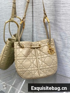 Dioriviera Medium Dior Nolita Bag Calfskin M2312UB Apricot