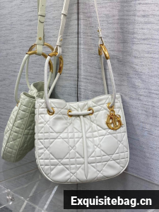 Dioriviera Medium Dior Nolita Bag Calfskin M2312UB white