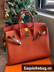 Hermes Bikin Original Togo Leather HB30O7