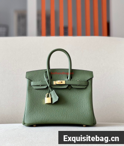 Hermes Birkin 25CM Bag Original Togo Leather 17888 Green