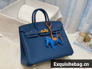 Hermes Birkin 25CM Togo Bag Original Leather H25E Dark Blue