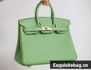 Hermes Birkin 25CM Togo Leather H5601 green