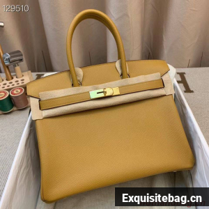 Hermes Birkin 25CM Tote Bag Original Leather H25T Yellow