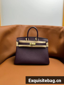 Hermes Birkin Bag Leather togo 5570-10