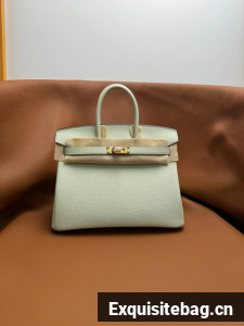 Hermes Birkin Bag Leather togo 5570-4